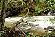 Wanderurlaub im Bayerischen Wald